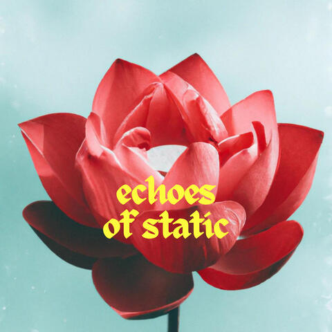 echoes of static