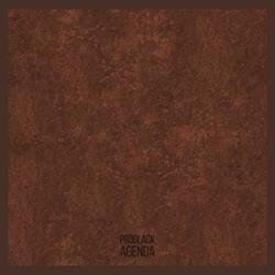PROBLACK AGENDA