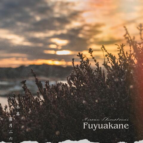 Fuyuakane