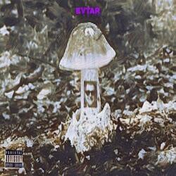 E to the V to the O E O