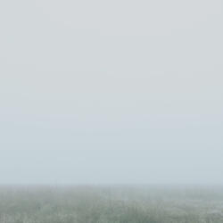 More Simple