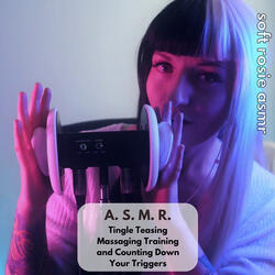 A.S.M.R. Tingle Teasing - Massaging Training and Counting Down Your Triggers, Pt. 27