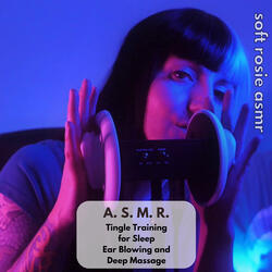 A.S.M.R. Tingle Training for Sleep - Ear Blowing and Deep Massage, Pt. 15
