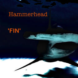 Fin