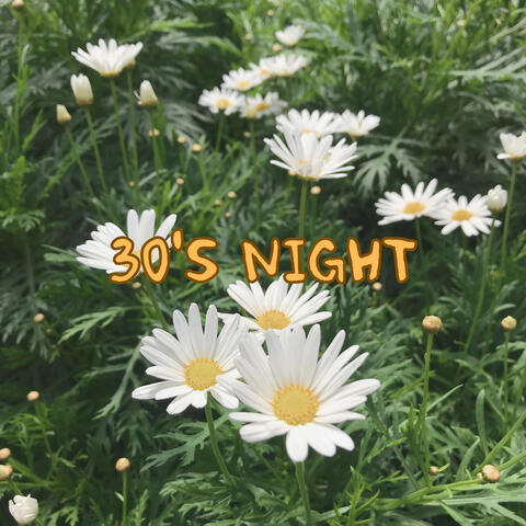 30's Night