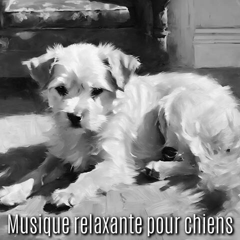 Musique relaxante pour chiens