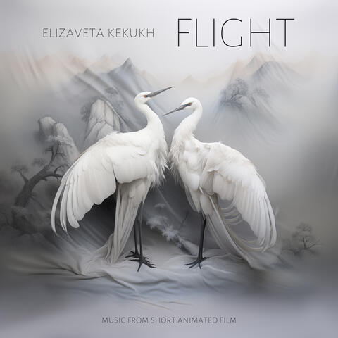 Flight