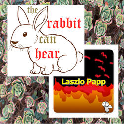The Rabbit Can Hear