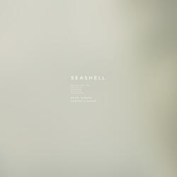 Seashell