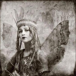 Angel of History