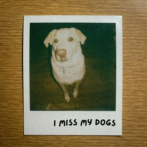 I Miss My Dogs
