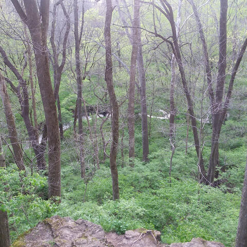 The Gate (10 year dump)