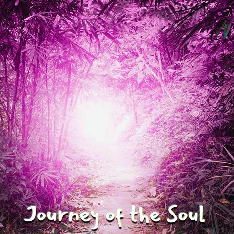 Journey of the Soul