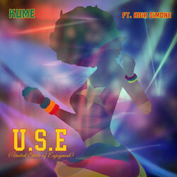 U.S.E (United State of Enjoyment)