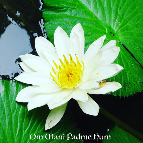 Om Mani Padme Hum