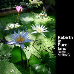Rebirth in Pure Land (Namo Amituofo)