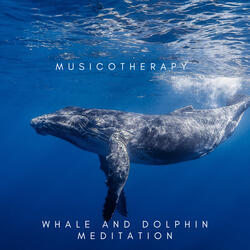 Whale and dolphin meditation