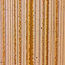 There's Nothing Left Now