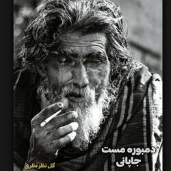 دمبوره مست جاپانی اموتو تیت دیوانگان