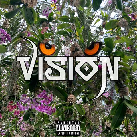 VISION