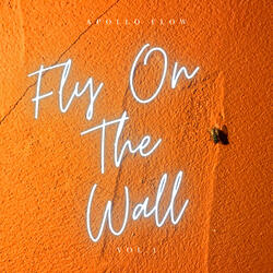 Fly On The Wall