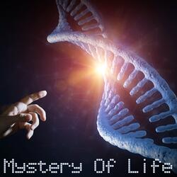 Mystery Of Life