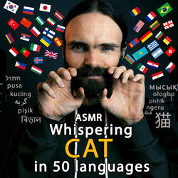Asmr Whispering Cat in 50 Languages, Pt. 1