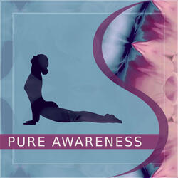 Pure Awareness