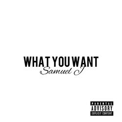 What You Want