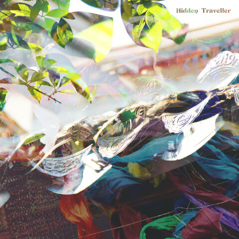 Hidden Traveller