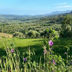 Marcia di primavera