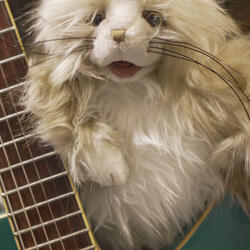 Whiskers
