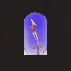 Perpetual Rebirth