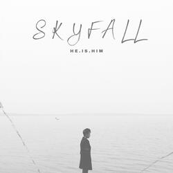 Skyfall (Radio Mix)