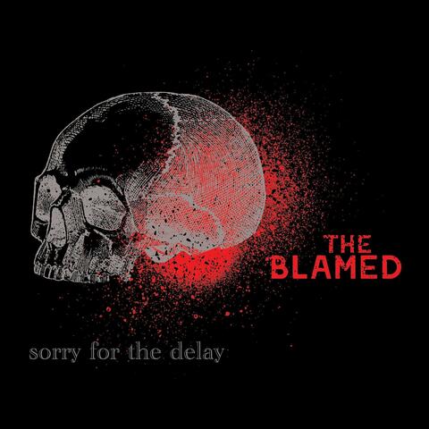 Sorry for the Delay