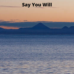 Say You Will