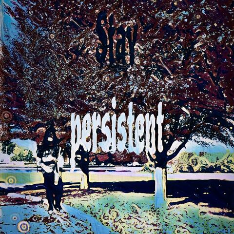 Stay Persistent