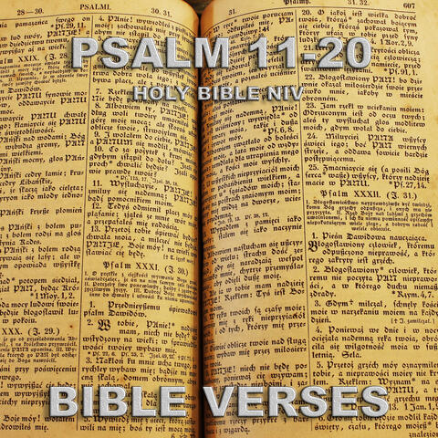 Holy Bible Niv Psalm 11-20