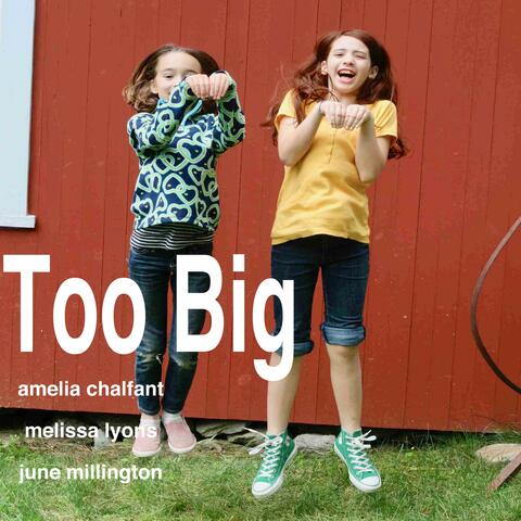 Too Big