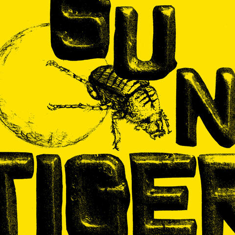 Sun Tiger