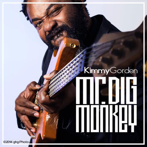 Mr. Digmonkey