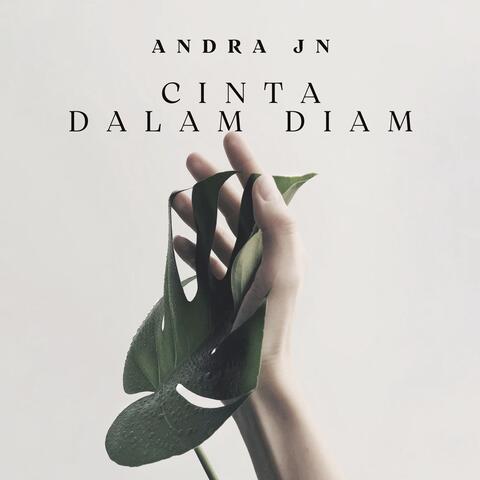 Cinta Dalam Diam