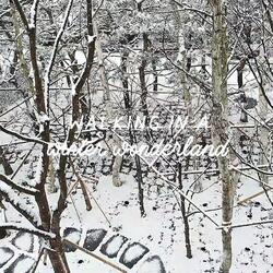 Walking In A Winter Wonderland