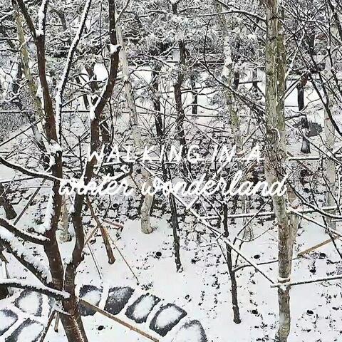 Walking In A Winter Wonderland