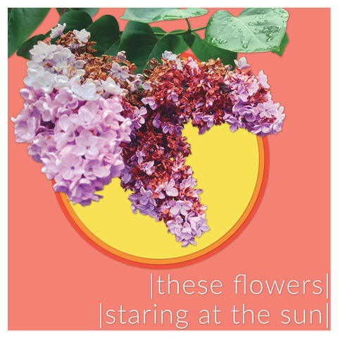 These Flowers/Staring at the Sun