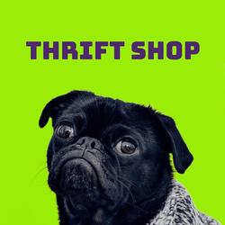 Thrift Shop