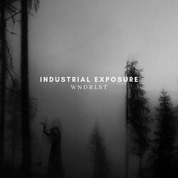 Industrial Exposure