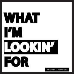 What I'm Lookin' For