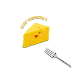Say Cheese ! (sped up)