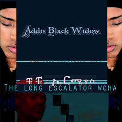 The Long Escalator Wcha